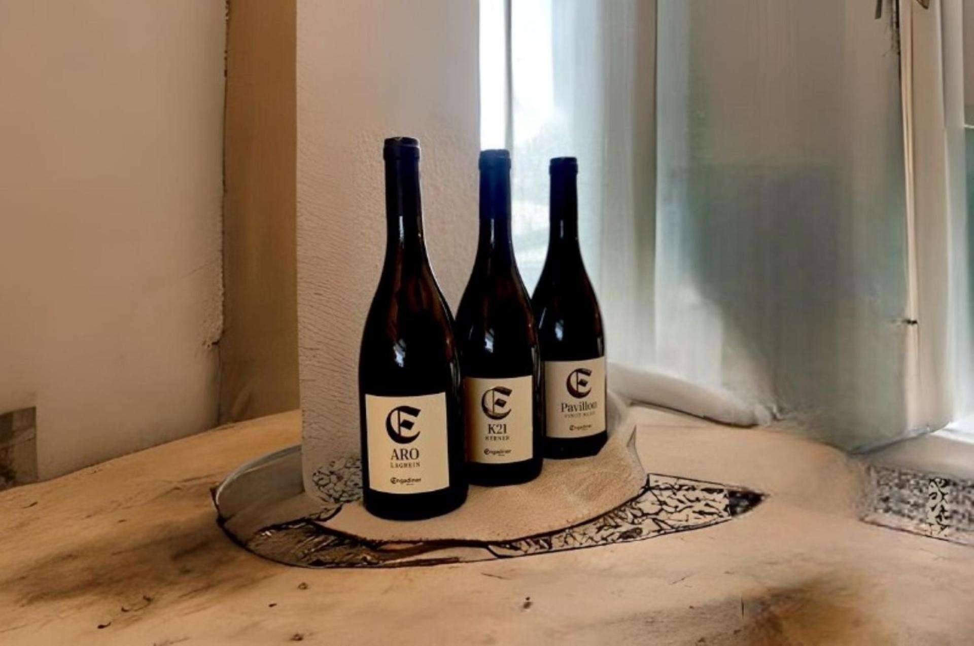 Engadiner Apartments & Wines Монтанья Экстерьер фото